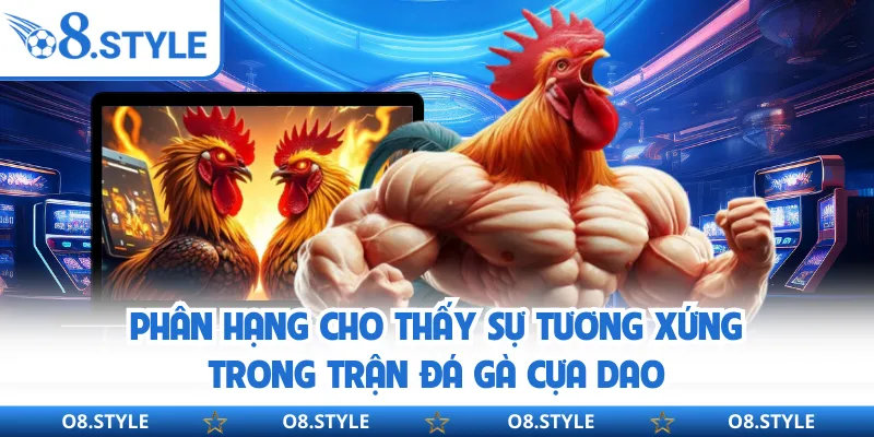 Phân hạng cho thấy sự tương xứng trong trận đá gà cựa dao